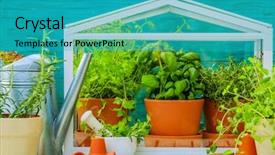  Presentation with greenhouse - Colorful presentation theme enhanced with herbs-in-the-greenhouse backdrop and a teal colored foreground