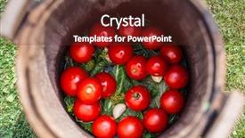  Presentation with herbs - Slide set featuring herbs in the wooden cask background and a  colored foreground