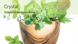  Presentation with rustic herbs on wood - Audience pleasing presentation theme consisting of herbs in the wooden mortar backdrop and a mint green colored foreground
