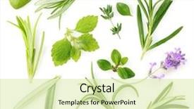  Presentation with spices - Slide set with herbs isolated on white background and a soft green colored foreground