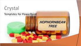  Presentation with medicine plants - Theme featuring herbs-medical-concept-food-supplement background and a white colored foreground