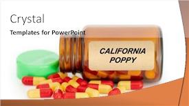  Presentation with medicine plants - Slides featuring herbs-medical-concept-food-supplement background and a  colored foreground