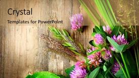  Presentation with herbs on wood - Cool new PPT theme with herbs over wooden background grass backdrop and a coral colored foreground