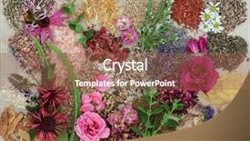  Presentation with heal - Cool new presentation theme with herbs to heal skin disorders backdrop and a tawny brown colored foreground