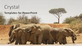  Presentation with african river - 