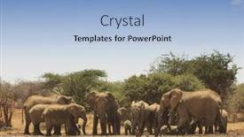  Presentation with african river - 