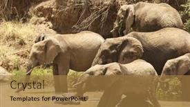  Presentation with african river - 