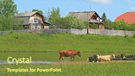  Presentation with adrenal cortex - PPT layouts enhanced with safety first sign lifebuoy on rough water waves background and a ocean colored foreground