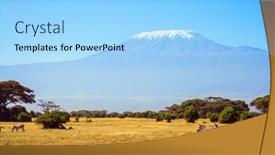  Presentation with savannah - Audience pleasing presentation theme consisting of herd-of-adorable-striped-zebras backdrop and a light blue colored foreground