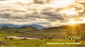  Presentation with bison - Audience pleasing presentation consisting of herd-of-adult-and-baby backdrop and a tawny brown colored foreground