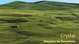  Presentation with last - Slide set with herd-of-cows-are-grazing background and a tawny brown colored foreground