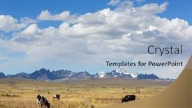  Presentation with agriculture field - Beautiful PPT theme featuring herd-of-cows-at-summer backdrop and a light blue colored foreground