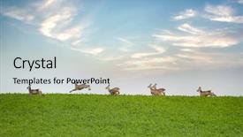  Presentation with deer - Beautiful PPT theme featuring herd of deer grazing backdrop and a lemonade colored foreground