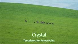  Presentation with grazing - Slide set with herd of deer grazing background and a tawny brown colored foreground