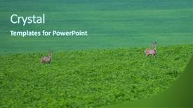 Presentation with grazing - PPT theme having herd of deer grazing background and a ocean colored foreground