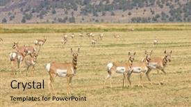  Presentation with cut - Presentation design with little snowman friend stands in a cap among the white snow and behind it there is an interesting snow-covered textured window with six squares background and a sky blue colored foreground
