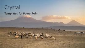  Presentation with armenia - PPT layouts with herd-of-sheep background and a  colored foreground