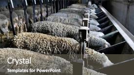  Presentation with fold - Slide set featuring  background and a  colored foreground