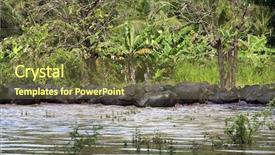  Presentation with water river - Presentation design consisting of swollen river in sri lanka background and a tawny brown colored foreground