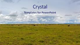  Presentation with serengeti africa - Presentation featuring herd of wildebeest zebra migration background and a lemonade colored foreground