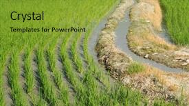  Presentation with green agriculture farm - PPT theme featuring here is a green road background and a  colored foreground