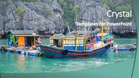  Presentation with vietnam - Beautiful theme featuring brain in black and white backdrop and a white colored foreground