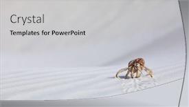  Presentation with crab shell - PPT theme consisting of hermit-crab-carry-a-shell background and a light gray colored foreground