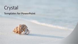  Presentation with maldives - Cool new slide deck with hermit crab on a beach backdrop and a lemonade colored foreground