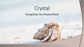 Presentation with maldives - Colorful presentation theme enhanced with hermit crab on a beach backdrop and a sky blue colored foreground