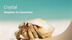  Presentation with crab - Cool new PPT theme with hermit crab on beach at maldives backdrop and a teal colored foreground