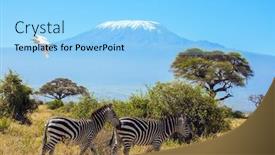  Presentation with kenya - Beautiful PPT theme featuring heron-flies-over-a-herd backdrop and a light blue colored foreground