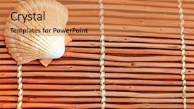  Presentation with seashell - Presentation theme enhanced with hewan - pretty seashell on pretty wooden background and a  colored foreground