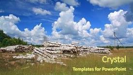 Presentation with indonesian forest - Colorful PPT theme enhanced with hewan - timber in a field near backdrop and a  colored foreground