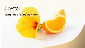  Presentation with orange slice - Audience pleasing presentation theme consisting of hibiscus flower and slice of orange on white background backdrop and a blonde colored foreground