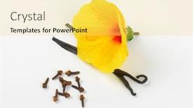  Presentation with hibiscus flower - 