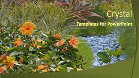  Presentation with hibiscus flower - Presentation theme with hibiscus flower in the park background and a tawny brown colored foreground