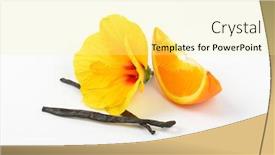  Presentation with hibiscus - PPT layouts consisting of hibiscus-orange-and-vanilla-pods background and a blonde colored foreground