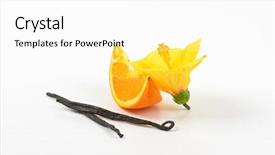  Presentation with hibiscus - Amazing presentation design having hibiscus orange and vanilla pods on white background backdrop and a white colored foreground