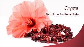  Presentation with hibiscus - Presentation theme having hibiscus tea and flower isolated background and a sky blue colored foreground