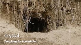  Presentation with maternity - Theme having hideout - burrow warren maternity lair den background and a coral colored foreground