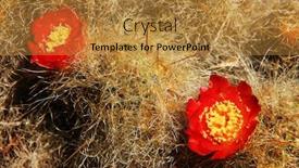  Presentation with altitude - PPT theme having high-altitude-vegetation-on-cohup background and a gold colored foreground