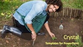  Presentation with greenhouse - Colorful PPT layouts enhanced with high angle portrait of male backdrop and a tawny brown colored foreground