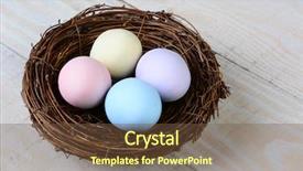  Presentation with pastel - Audience pleasing theme consisting of shot of a birds nest backdrop and a tawny brown colored foreground