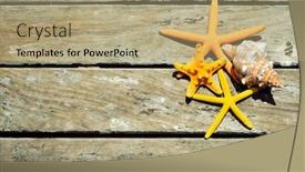  Presentation with shot - Slide set having high-angle shot of some starfishes and a conch on a weathered wooden pier with a blank space background and a coral colored foreground