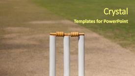  Presentation with cricket - PPT theme having high angle view of stumps background and a tawny brown colored foreground