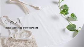  Presentation with net - 