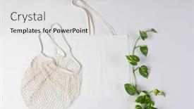  Presentation with net - 