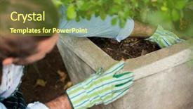  Presentation with community garden - Beautiful PPT layouts featuring high angle view of young backdrop and a  colored foreground