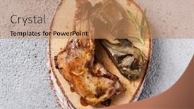  Presentation with rabbit - Audience pleasing PPT theme consisting of high-angle-view backdrop and a coral colored foreground