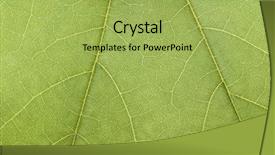  Presentation with green leaf - Cool new slide deck with high detaled green leaf macro backdrop and a yellow colored foreground